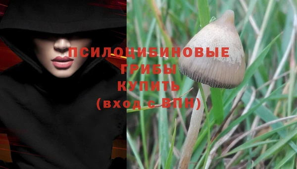 гидропоника Алексеевка