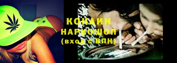 прущие грибы Алзамай