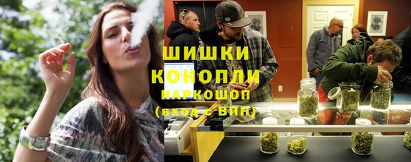 прущие грибы Алзамай