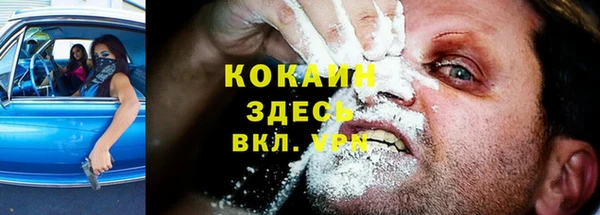 прущие грибы Алзамай