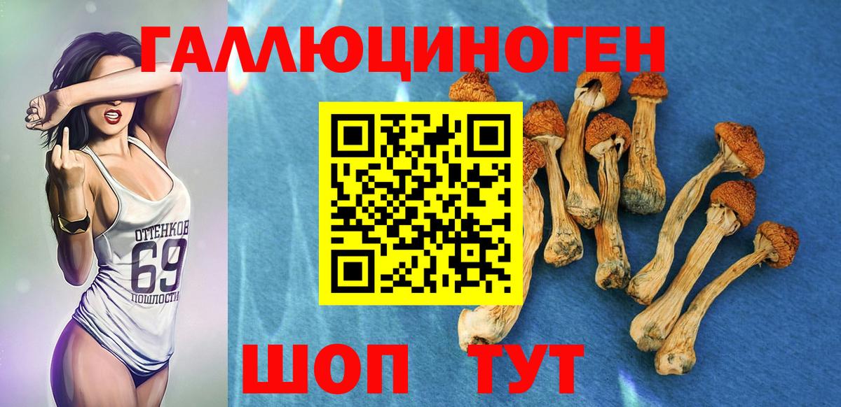Галлюциногенные грибы GOLDEN TEACHER Крымск